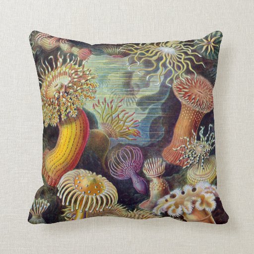 Marine Biology Gifts TShirts, Art, Posters & Other Gift Ideas Zazzle