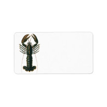 Vintage Marine Ocean Life Crustacean, Lobster Personalized Address Label