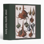 Vintage Marine Ocean Life, Seashells Sea Shells 3 Ring Binder