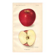 Vintage McCroskey Apple Poster posters by Customizables Vintage McCroskey Apple Poster posters