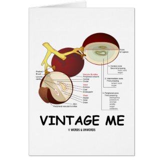 Vintage Me (Grape Berry) card