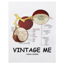 Vintage Me (Grape Berry) Custom Flyer