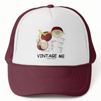 Vintage Me (Grape Berry) hat