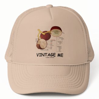 Vintage Me (Grape Berry) hat