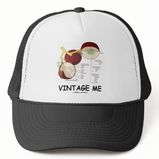 Vintage Me (Grape Berry) hat