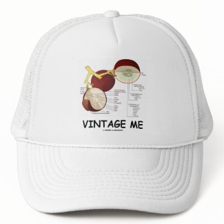 Vintage Me (Grape Berry) hat
