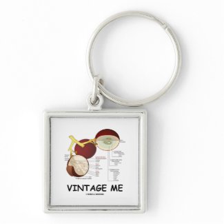 Vintage Me (Grape Berry) keychain
