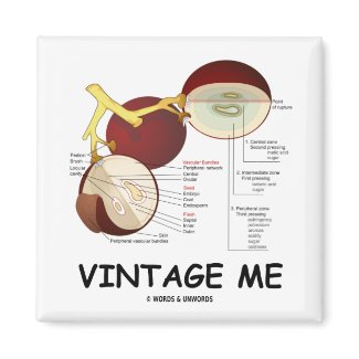 Vintage Me (Grape Berry) magnet