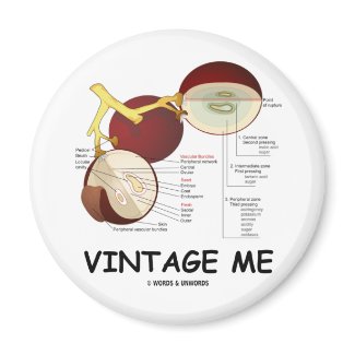 Vintage Me (Grape Berry) magnet