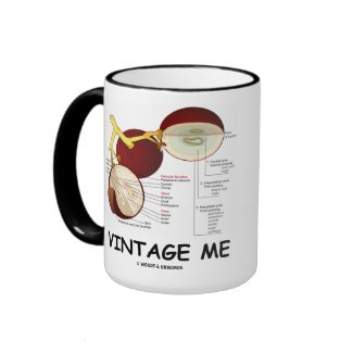 Vintage Me (Grape Berry) mug