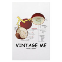 Vintage Me (Grape Berry) stationery