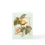 Vintage Melon Pear Antique Botanical Engraving Greeting Card
