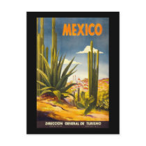 Vintage Mexico Post Card