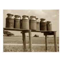 Vintage Milk Cans Postcards