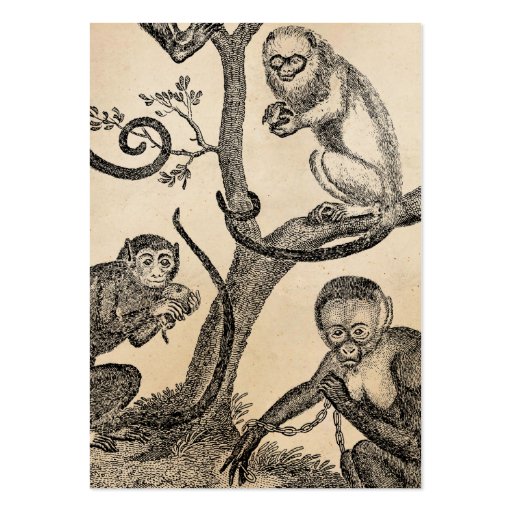 Vintage Monkey Illustration - 1800's Monkeys Business Cards (front side)