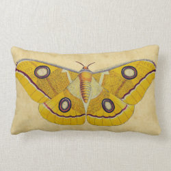 Vintage Moth Pillows