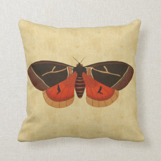 Domain Pillows - Decorative & Throw Pillows Zazzle