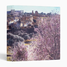 Vintage Mount Of Olives Jerusalem Israel 1950 - 77 3 Ring Binder