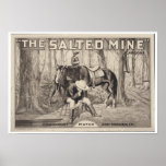 VINTAGE MOVIE POSTER ~ The Salted Mine posters