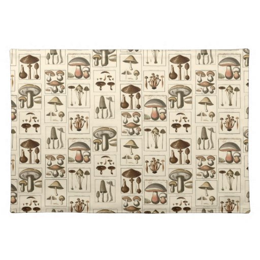 Vintage Mushroom Botanical Prints Placemat Zazzle