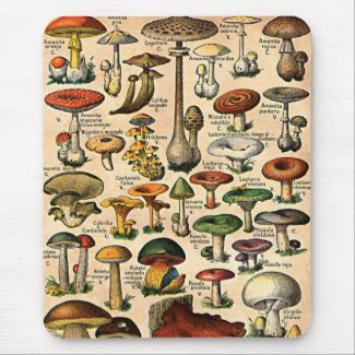 Vintage Mushroom Guide mousepad
