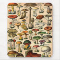 Vintage Mushroom Guide mousepads by Vintage_Gifts Vintage Mushroom Guide mousepads