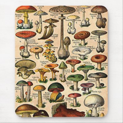 Vintage Mushroom Guide Mouse Pad by Vintage_Gifts
