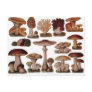 Vintage Mushroom Post Cards