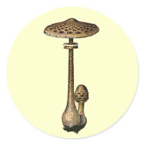 Vintage Mushroom Sticker