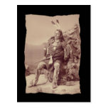 Vintage Native American Ponka Big Chief Postcard