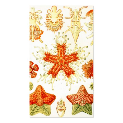 Vintage Naturalist Image of Starfish (Asteroidea) Business Card Templates