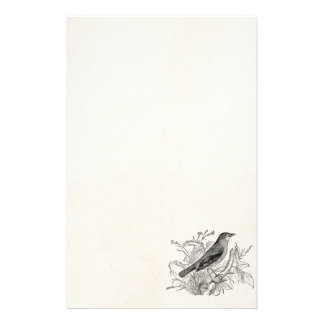 essay on nightingale bird 196 words short essay on the birds for kids saloni advertisements: the bird is a flying feathered creature, with two strong wings and two legs it can fly in the sky and travel long distances in the air. essay on nightingale bird 196 words short essay on the birds for kids saloni advertisements: the bird is a flying feathered creature, with two strong wings and two legs it can fly in the sky and travel long distances in the air.