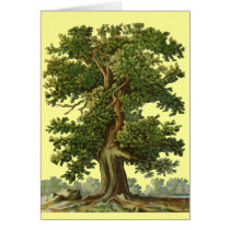 Vintage Oak Tree Art Blank Card cards