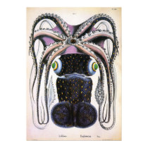 Vintage Octopus posters