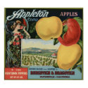 Vintage Old Apple Fruit Crate Labels posters by inquester Vintage Old Apple Fruit Crate Labels posters