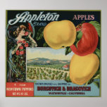 Vintage Old Apple Fruit Crate Labels posters