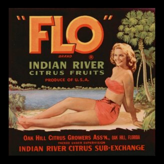 Vintage Old Citrus Fruit Crate Labels Ad Pinup Posters