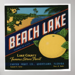 Vintage Old Citrus Fruit Crate Labels posters
