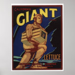 Vintage Old Giant Lettuce Vegetables Crate Labels Posters