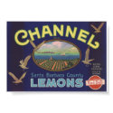 Vintage Old Lemons Fruit Crate Labels posters by inquester Vintage Old Lemons Fruit Crate Labels posters