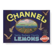 Vintage Old Lemons Fruit Crate Labels posters
