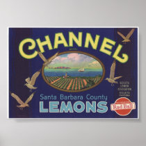 Vintage Old Lemons Fruit Crate Labels Posters