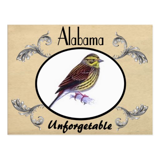 Vintage Old Postcard Alabama State