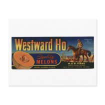 Vintage Old Retro Crate Product Goods Labels Melon Postcard