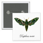 Vintage Oleander Hawk-moth Buttons