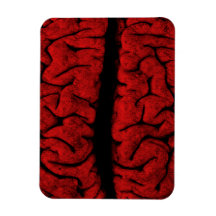 Vintage On The Brain Premium Magnet