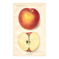 Vintage Opalescent Apple Poster posters by Customizables Vintage Opalescent Apple Poster posters