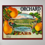 Vintage Orchard Pears Poster posters