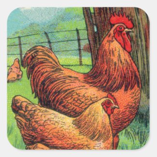 Vintage Orpington Chicken Square Sticker