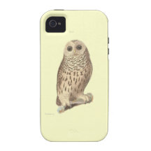 Vintage owl plate painting animal print iPhone 4 cover
